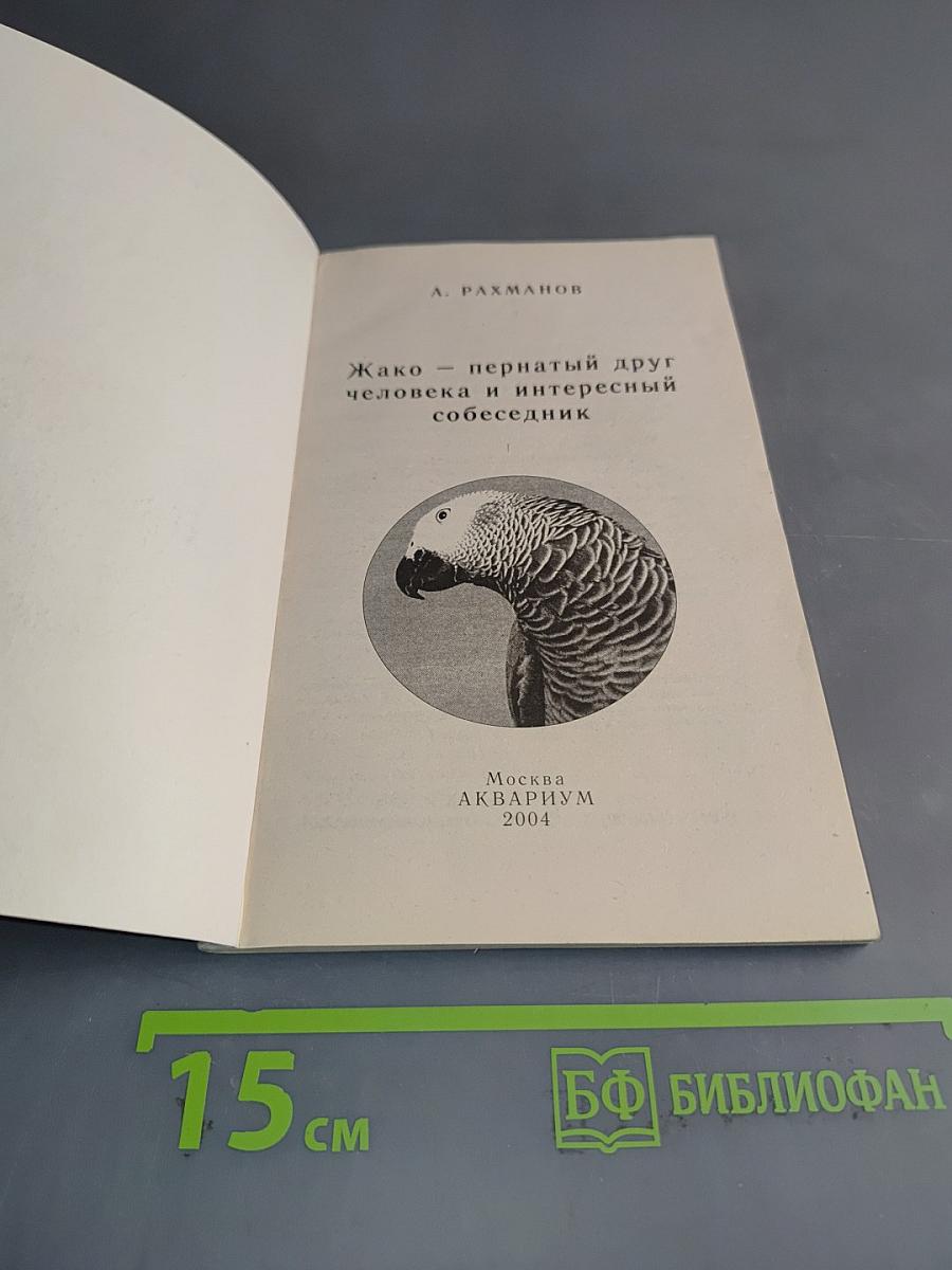 Жако – пернатый друг человека и интересный собеседник