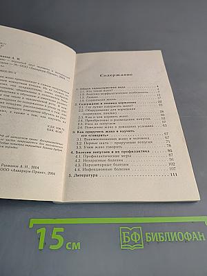 Жако – пернатый друг человека и интересный собеседник