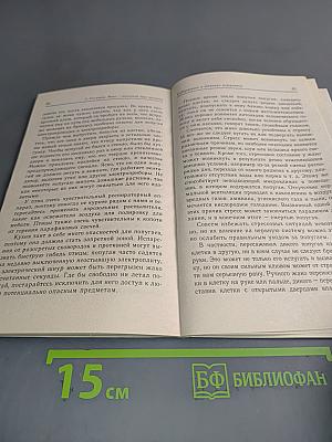 Жако – пернатый друг человека и интересный собеседник