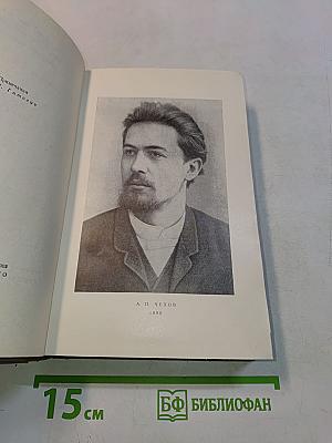 Собрание сочинений. Том одиннадцатый. Письма 1877-1892