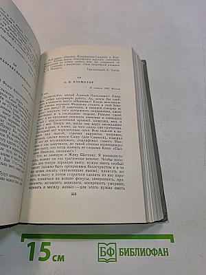 Собрание сочинений. Том одиннадцатый. Письма 1877-1892