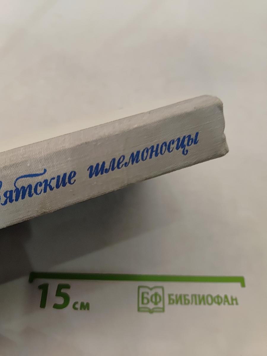 Увятские шлемоносцы