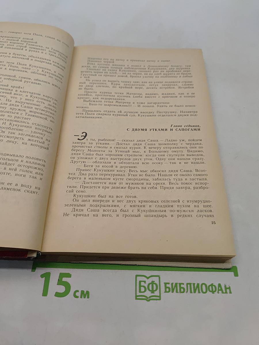 Где наша не пропадала. Повесть и рассказы
