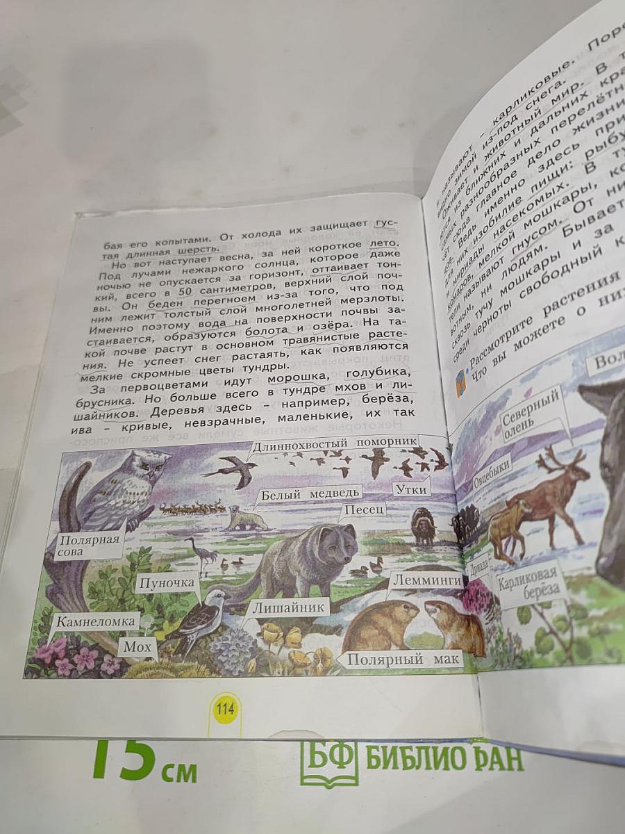 Окружающий мир 3 класс Часть вторая