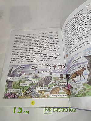 Окружающий мир 3 класс Часть вторая