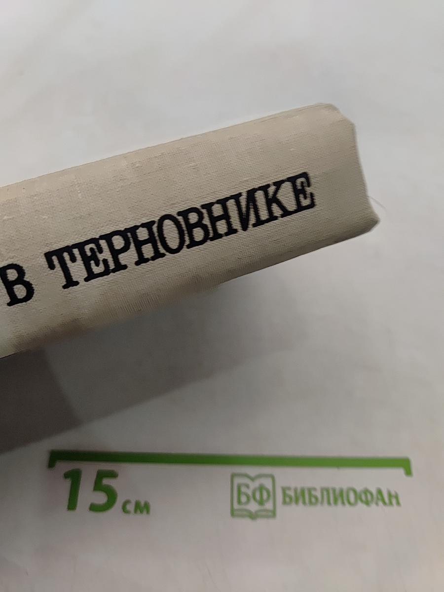Поющие в терновнике
