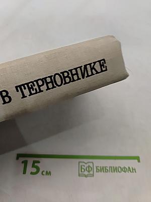 Поющие в терновнике