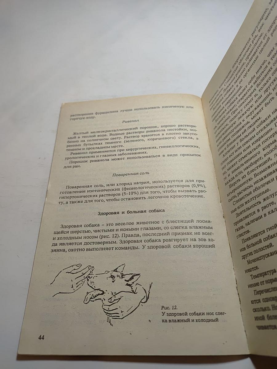 Для любимой собаки