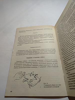 Для любимой собаки