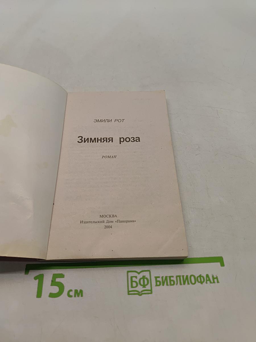 Зимняя роза