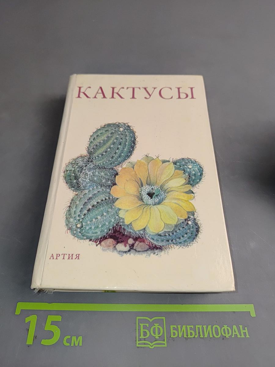 Кактусы
