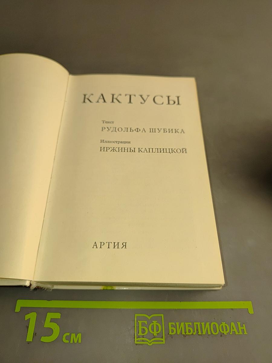 Кактусы