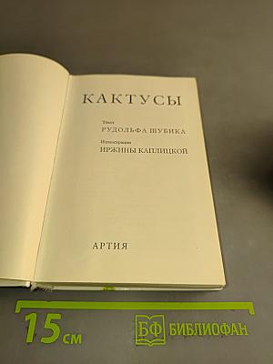 Кактусы