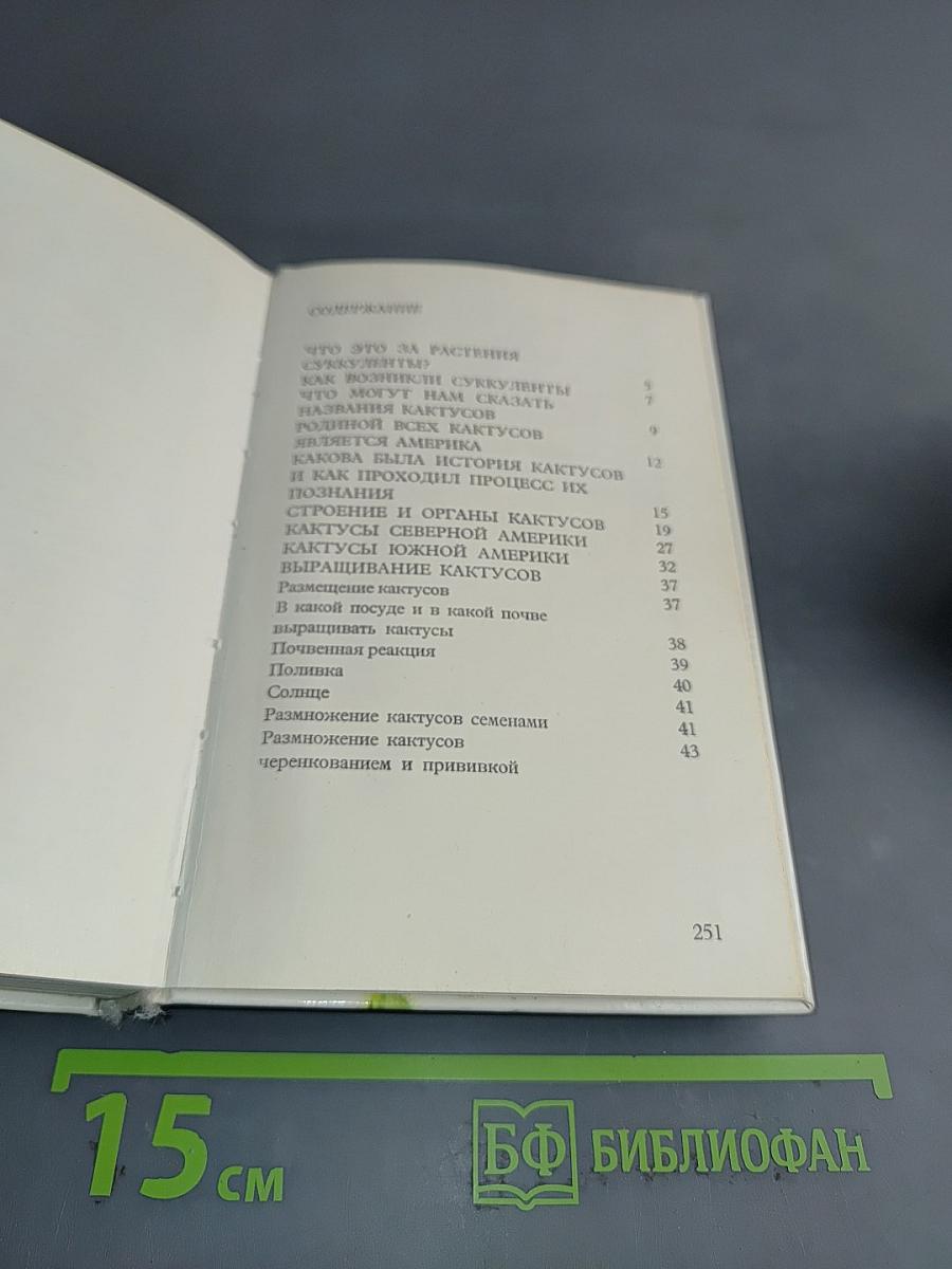 Кактусы