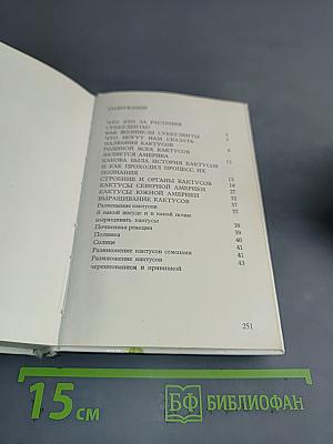 Кактусы