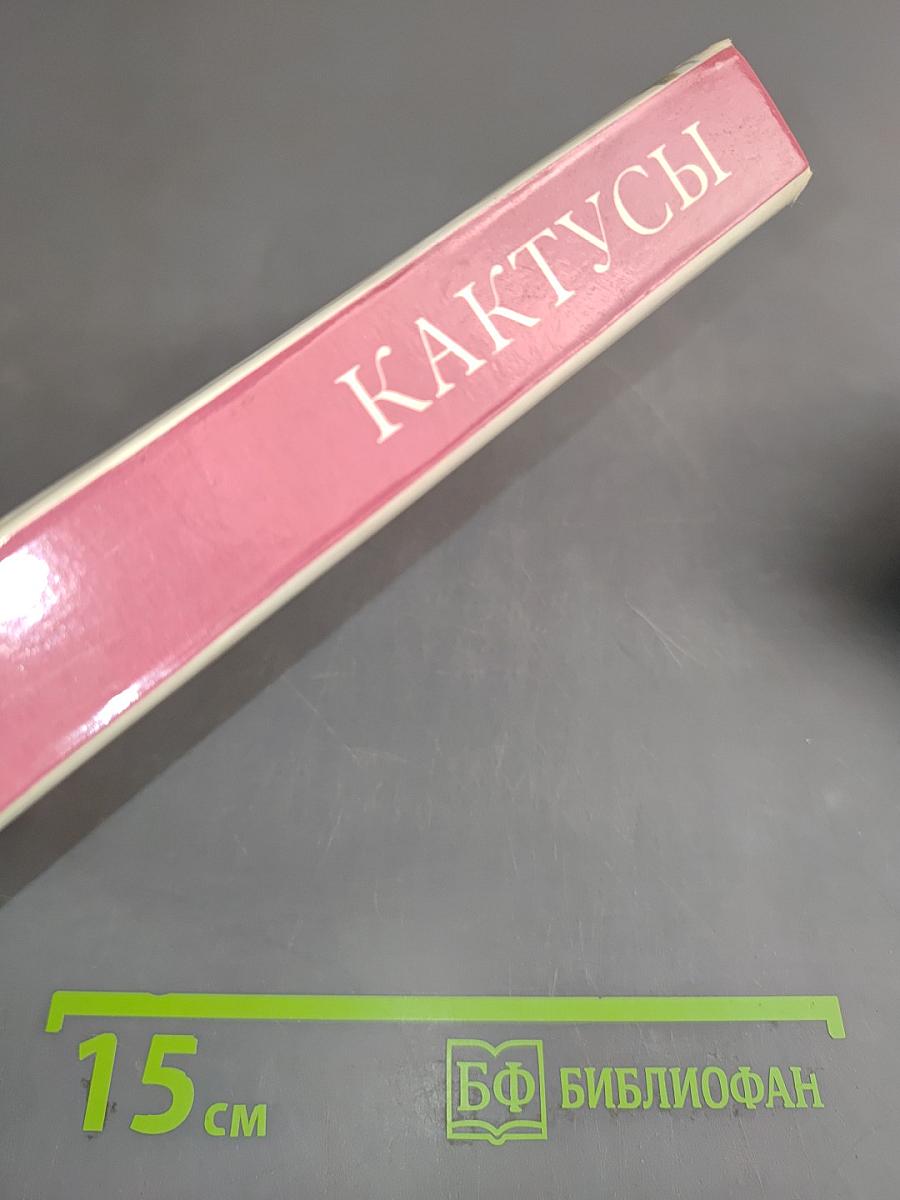 Кактусы