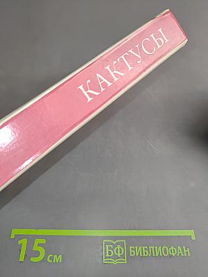 Кактусы