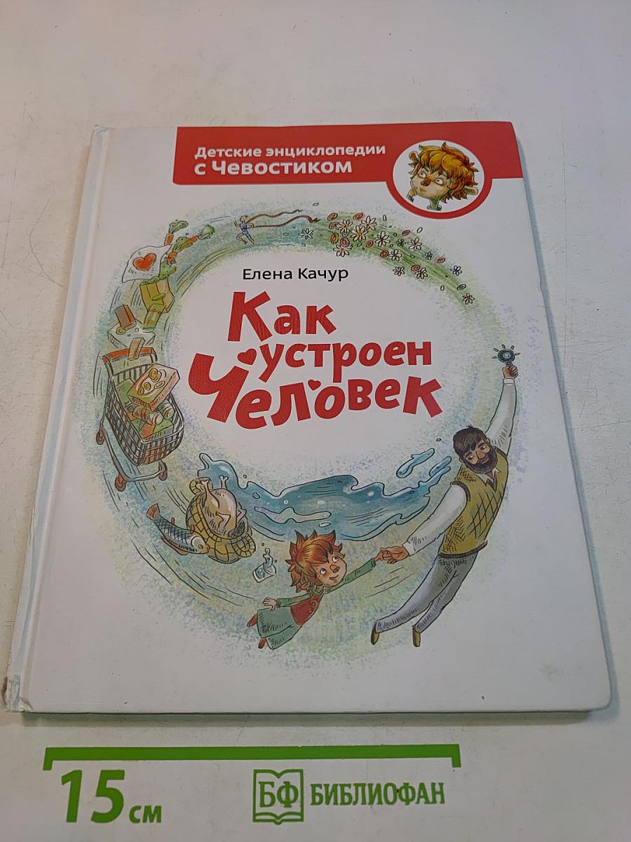 Как устроен человек