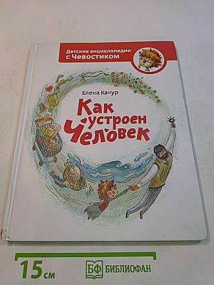 Как устроен человек