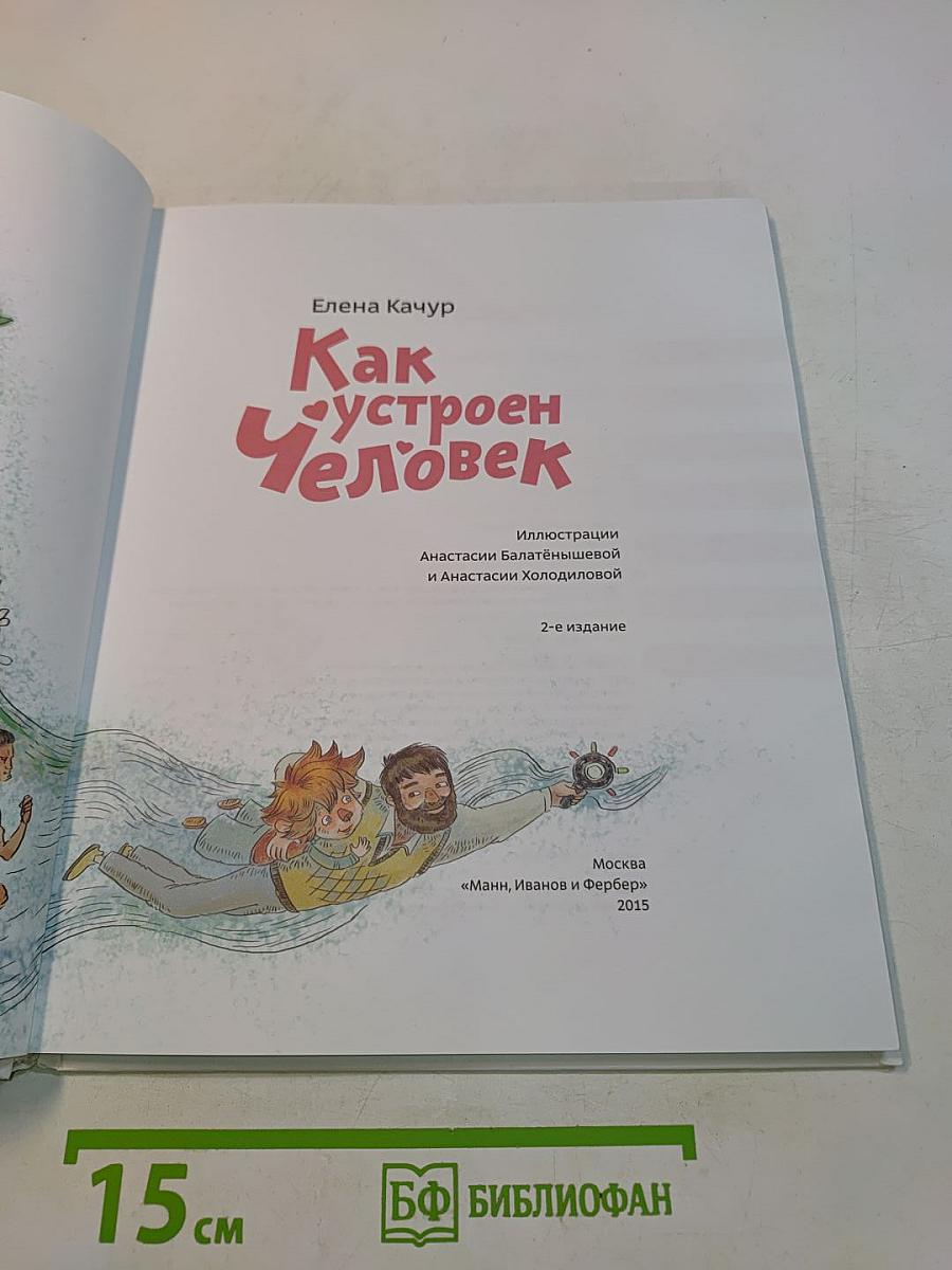 Как устроен человек