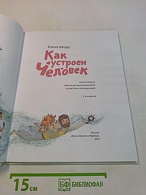 Как устроен человек