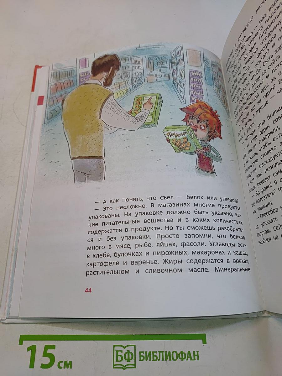 Как устроен человек