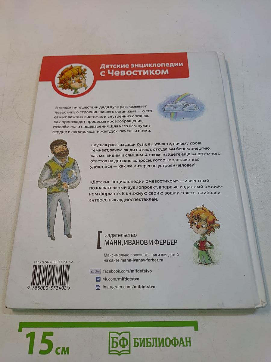 Как устроен человек