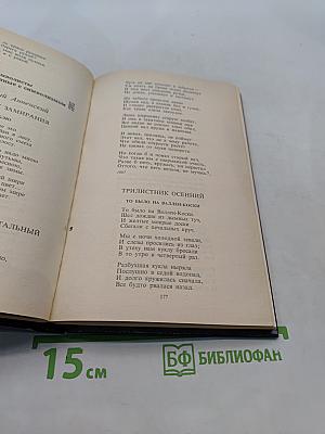 Поэтические течения в русской литературе конца XIX – начала XX века. Хрестоматия