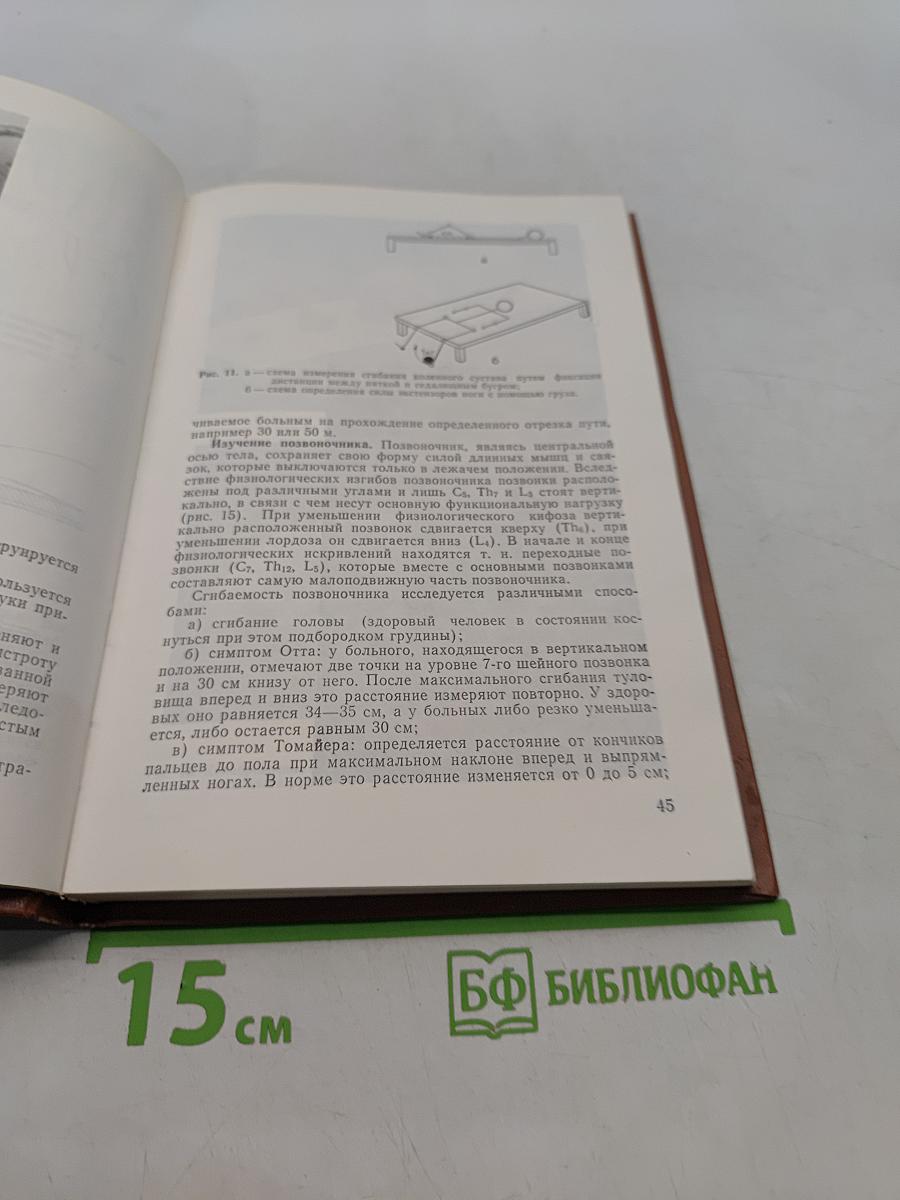 Основы клинической ревматологии
