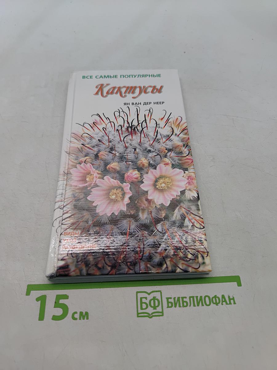Кактусы