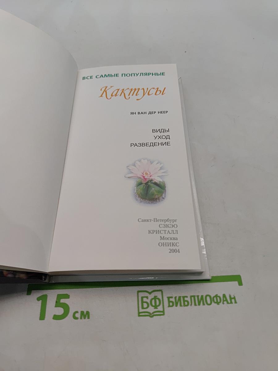 Кактусы