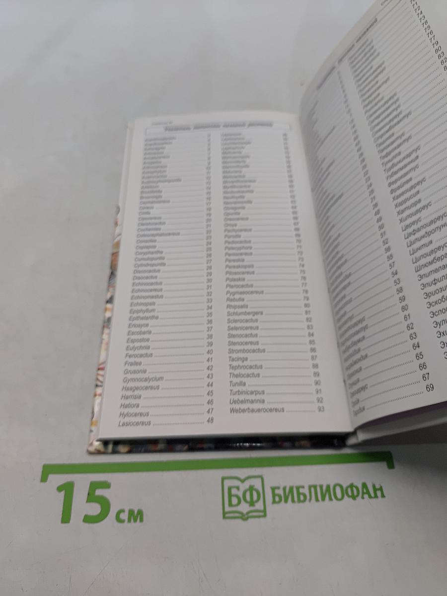 Кактусы