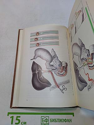 Бескровные методы удаления желчных камней