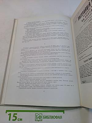 Год 1917 Россия Петроград: Очерки, статьи, воспоминания