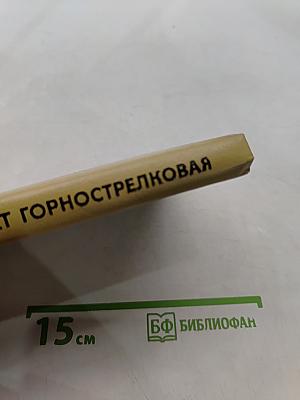 Атакует горнострелковая