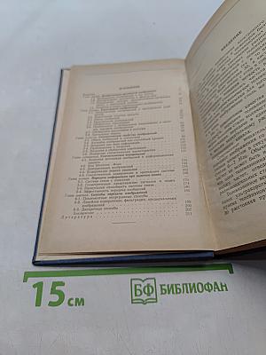 Телевидение и теория информации