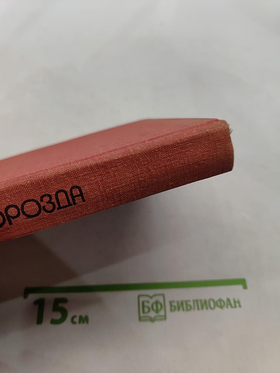 Первая борозда