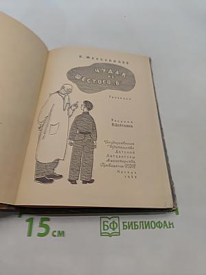 Чудак из шестого "Б"