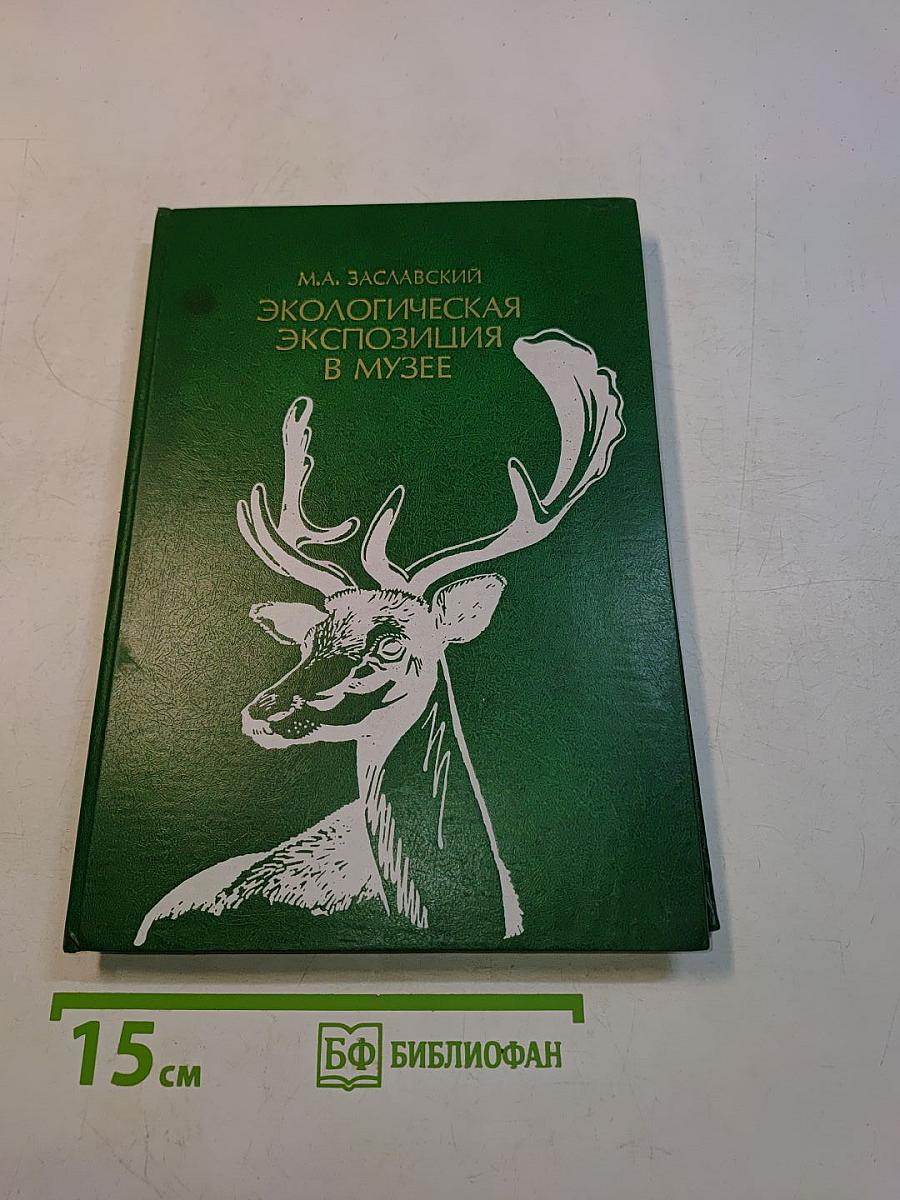 Экологическая экспозиция в музее