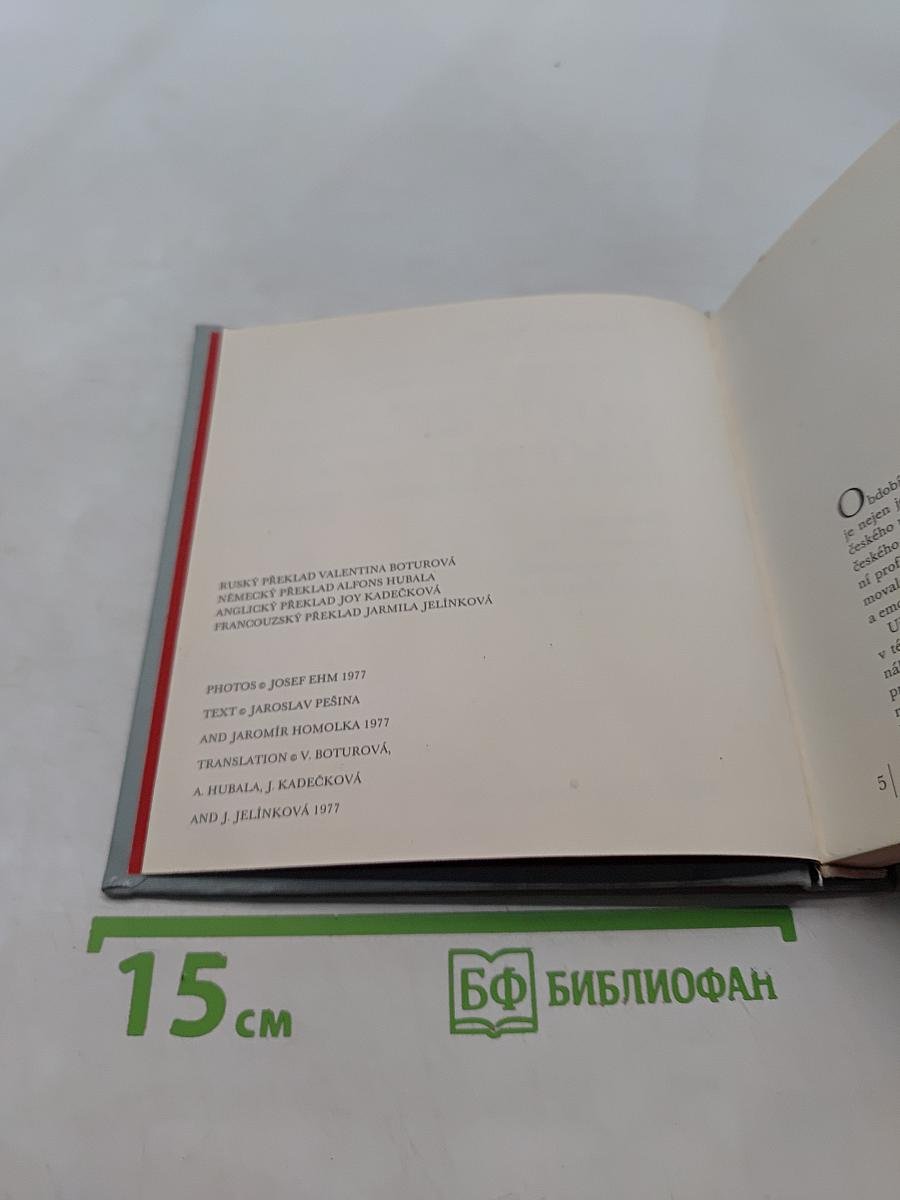 České gotické umění
