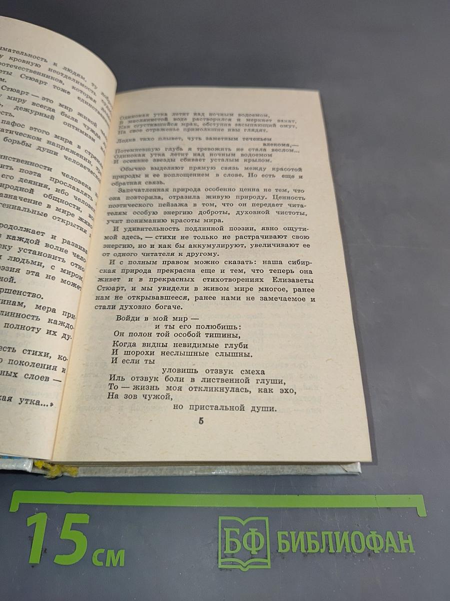 Зимний праздник