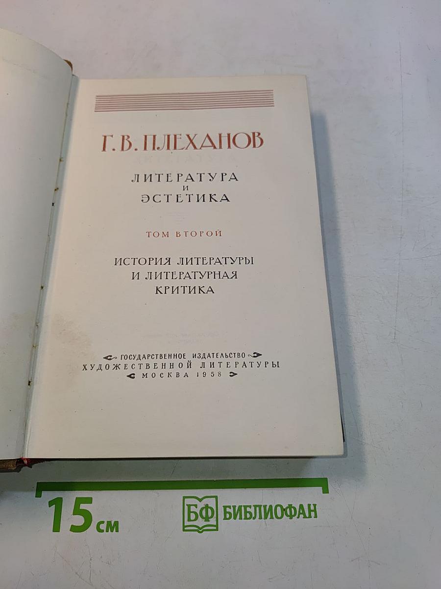 Литература и эстетика. Том второй. История литературы и литературная критика
