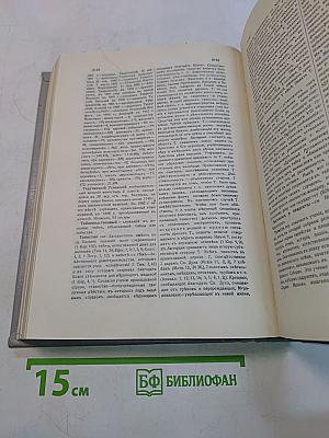 Полный православный богословский энциклопедический словарь. Том II