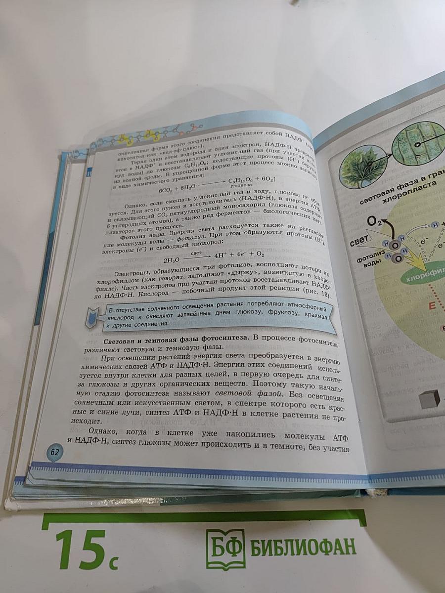 Биология 10 класс