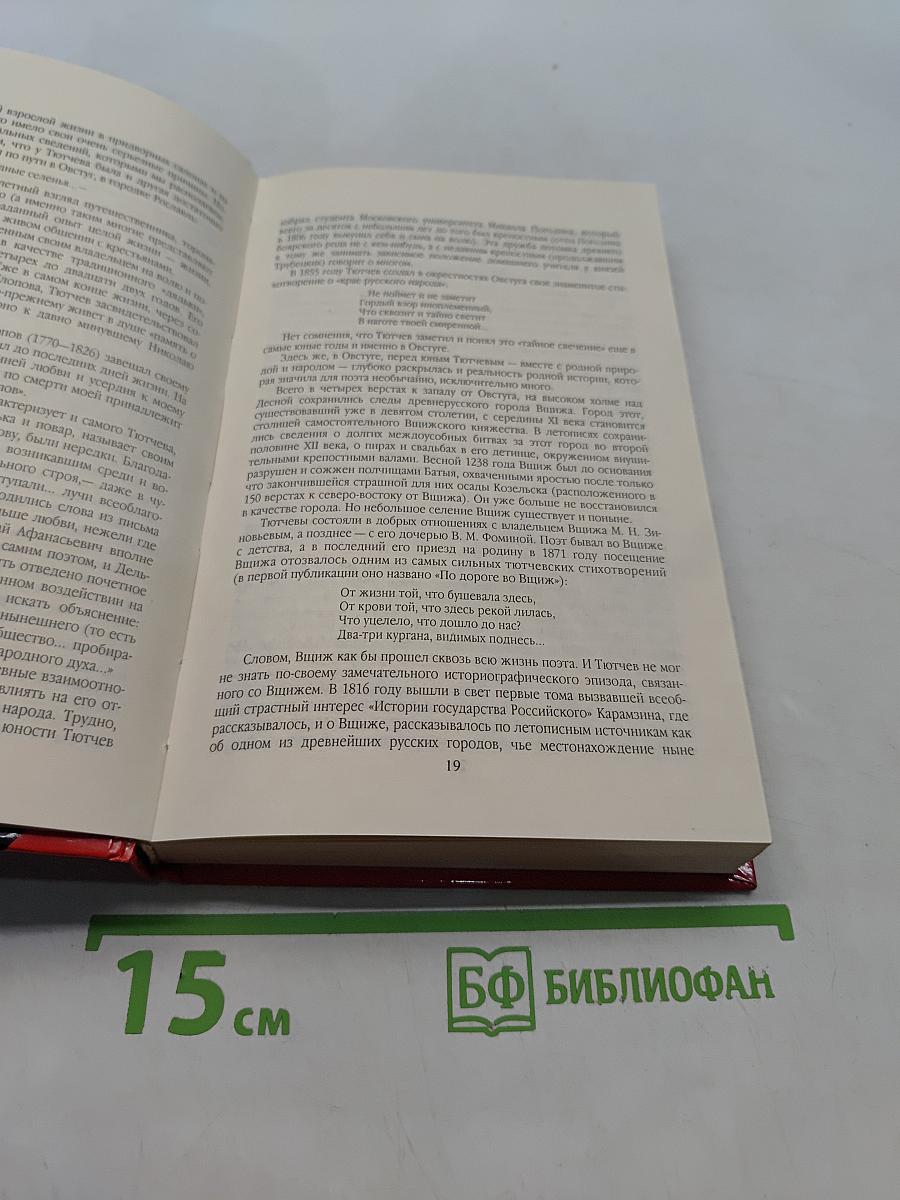 Пророк в своем отечестве. Федор Тютчев. Россия. век XIX