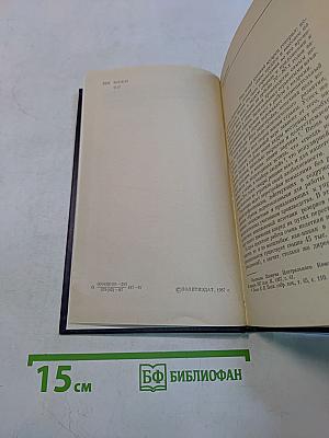 Руководитель