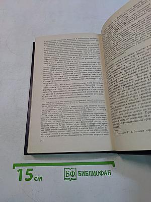 Руководитель