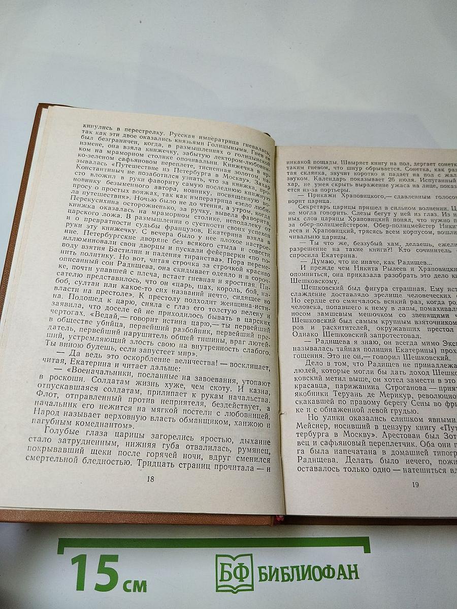 Повесть о братьях Тургеневых. Осуждение Паганини