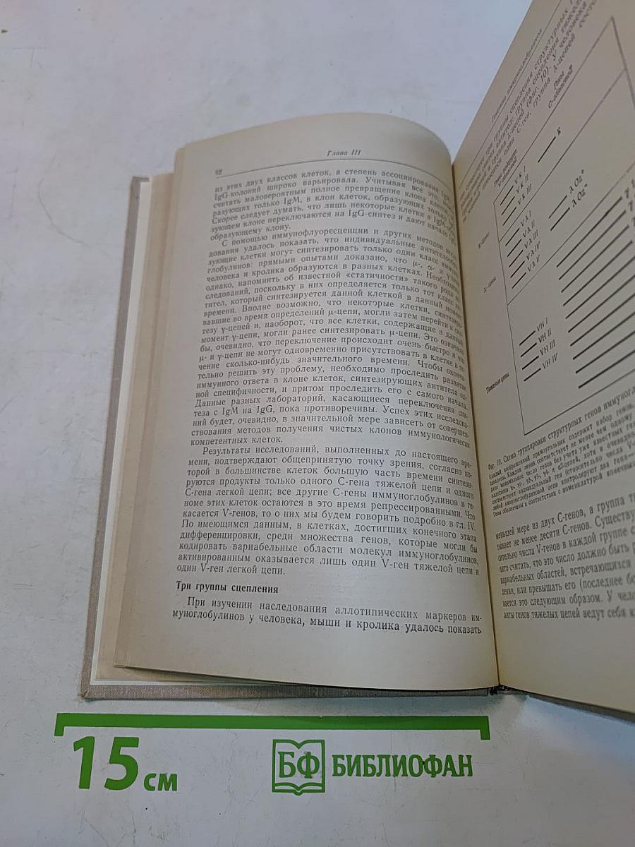 Введение в иммуногенетику