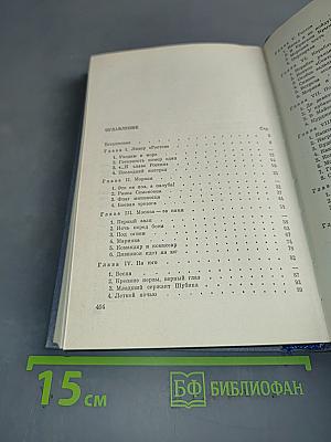 Флаг миноносца